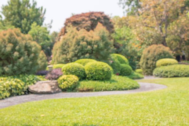 Abstract blur park garden for background