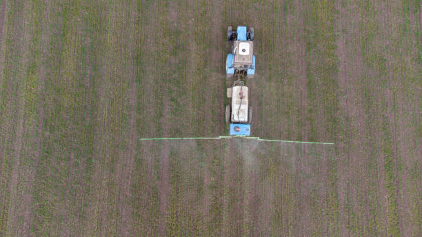 istock Spring field work. Early shoots. A tractor with attachments sprays fertilizer onto the field. 1316369332