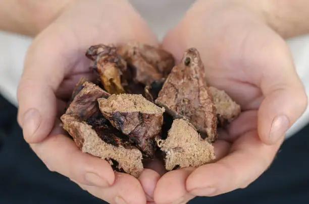 Photo of A close-up of popular dog treats in hand.