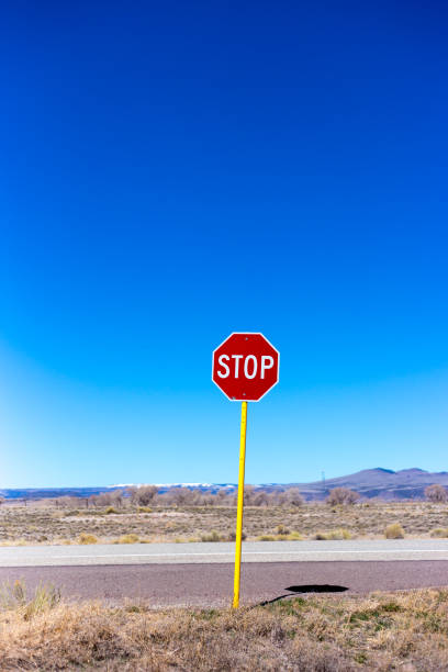 istock STOP Sign, Blue Sky, Road, Desert Emptiness 1316371245