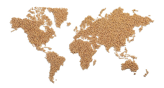 World map made of Soybean isolated on white with clipping path
