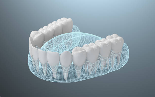 denti sani, trattamento dei denti, rendering 3d. - denti di animale foto e immagini stock