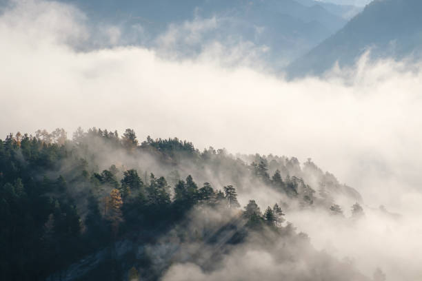 istock Forested mountains are visible through morning fog 1316377761
