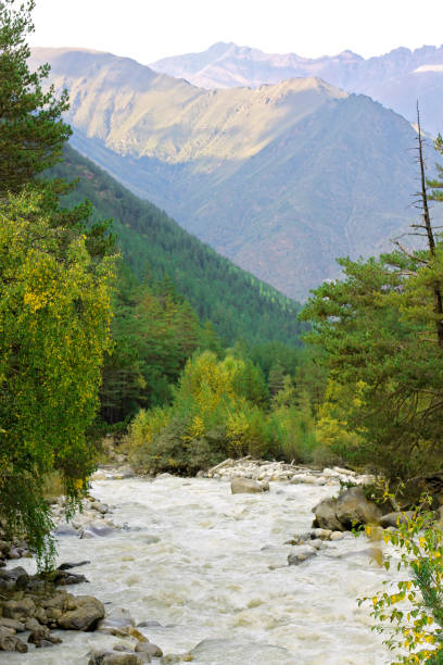 istock Wild mountain river flowing in the canyon 1316382855