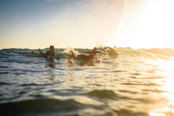 istock Gold Coast Surfers Paddling to Catch a Wave at Dawn 1316390028