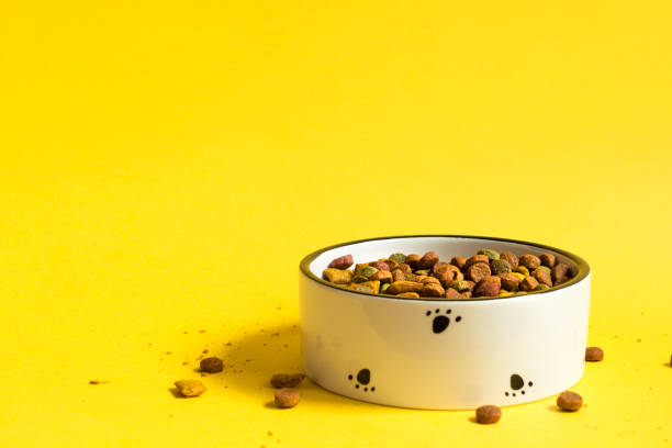 黄色の背景に乾燥したグラニュール食品とペットフードボウル。猫や犬のための食べ物は、白いボウルに注がれます。スペースをコピーします。 - pet food animals feeding cat food cat bowl ストックフォトと画像