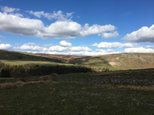 istock The Wall The Forest and Then The Hills 1316397472
