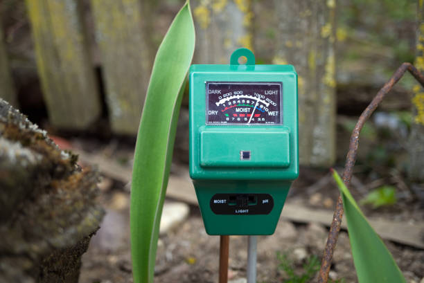 istock Agricultural meter to measure the moisture content 1316402371