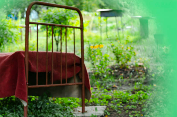 Rest in the village. Blurred background. Defocused An iron bed covered with a blanket in a garden with a mongal. Cozy relaxation in nature near the house