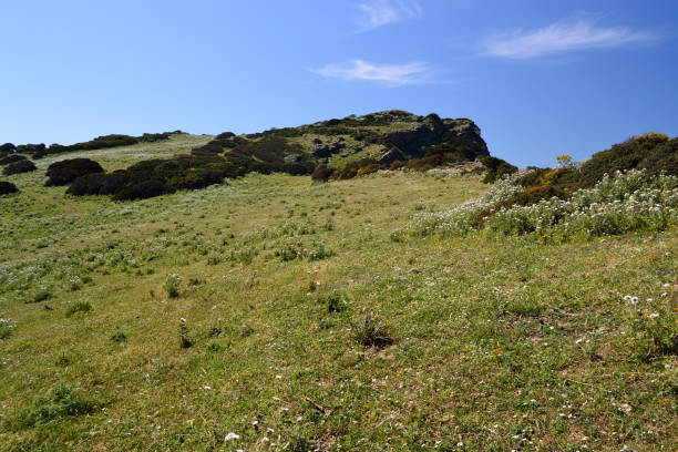 istock View of Cape Negru and the coast 1316405446