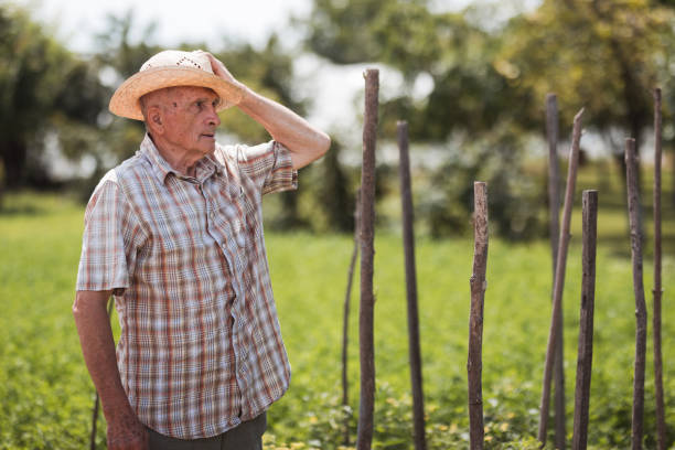 istock Worried elderly man standing at his orchard 1316406638