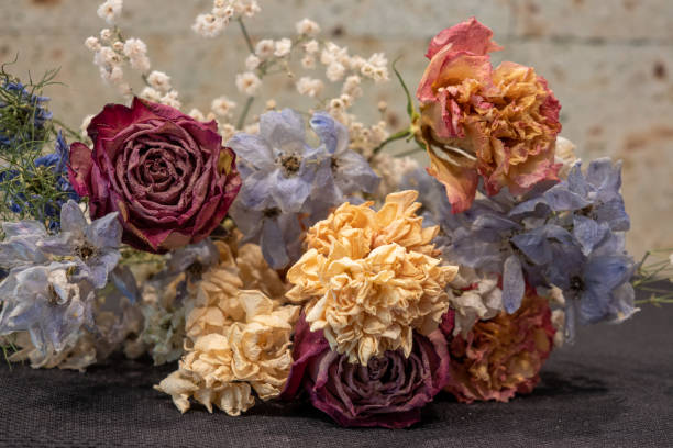 istock dried flowers and Oya stone wall 1316410119