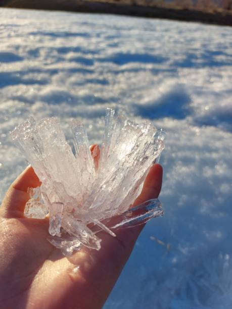 istock Ice in hand transparent Icicle 1316411075