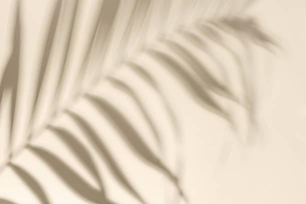 istock Summer minimal background with shadow from natural palm leaf. Pastel colored aesthetic photo with palm plant. 1316411318