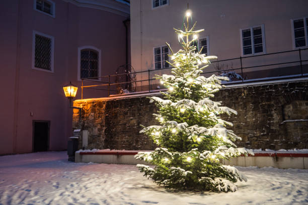 オーストリアの低いゾンタグベルクの冬の夜に照らされ��た雪の中のクリスマスツリー - church in the snow ストックフォトと画像