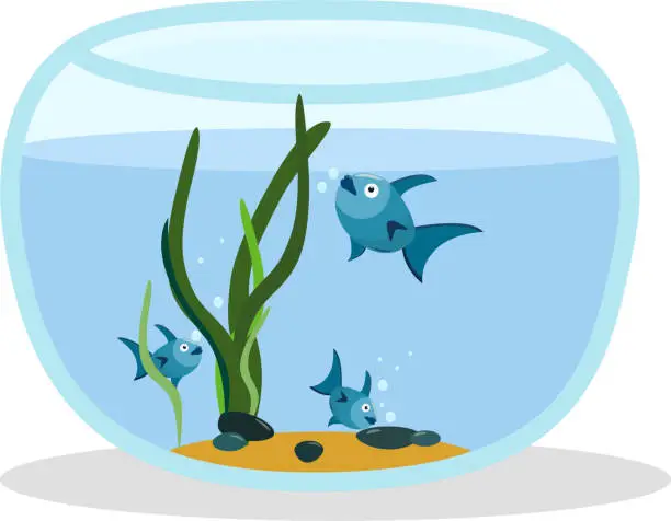 Vector illustration of vector illustration of an aquarium with fish isolated on a white background