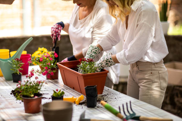istock Mother and daughter having enjoyable time together while potting plants at backyard 1316412775