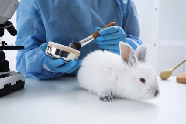 Scientist with rabbit and makeup products in chemical laboratory, closeup. Animal testing Scientist with rabbit and makeup products in chemical laboratory, closeup. Animal testing sick bunny stock pictures, royalty-free photos & images