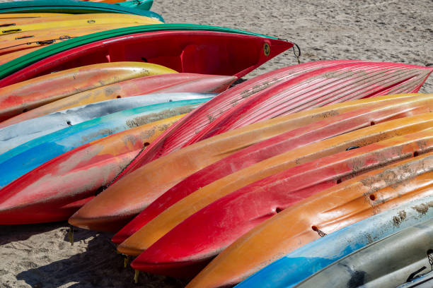 istock Colorful canoes on a sand beach 1316417083