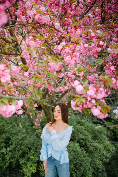 istock Woman walks in park with blooming sakura trees 1316417090