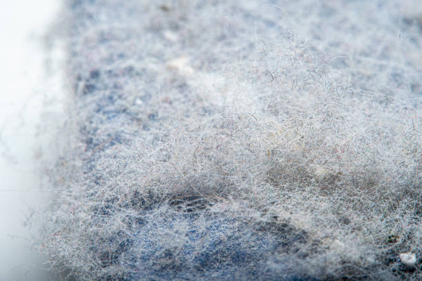 istock Thick layer of dust on the plastic surface. Background in soft focus at high magnification 1316418033