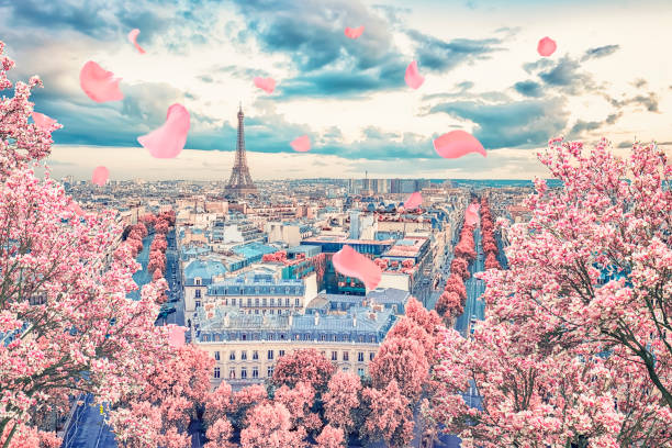 istock Paris city in the springtime 1316419634