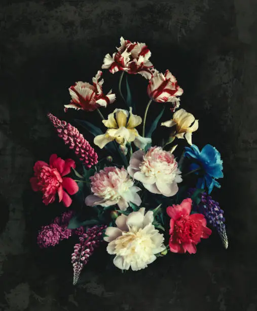 Photo of Colorful flowers on a black background in the style of a classic floral still life. Digital art.