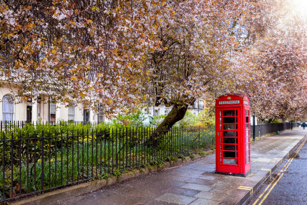 a red telephone booth on a street in london under blossoming trees - england telephone telephone booth london england imagens e fotografias de stock