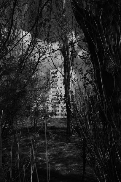 istock Apartment house behind the trees 1316421496