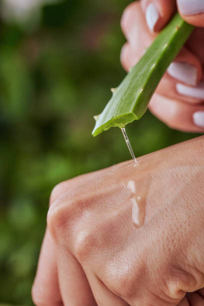 Young woman moisturizing her hands with aloe vera natural gel stock photo