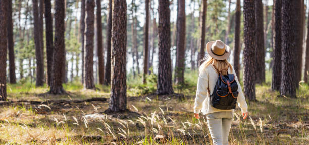 istock Panoramic view at female hiker walking in forest alone 1316423341