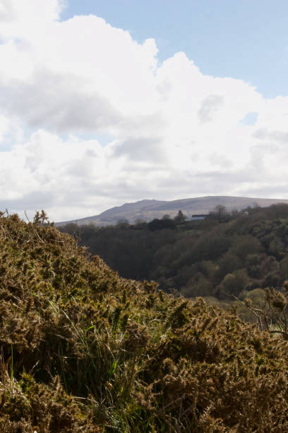 istock Mountain top in the background 1316428212