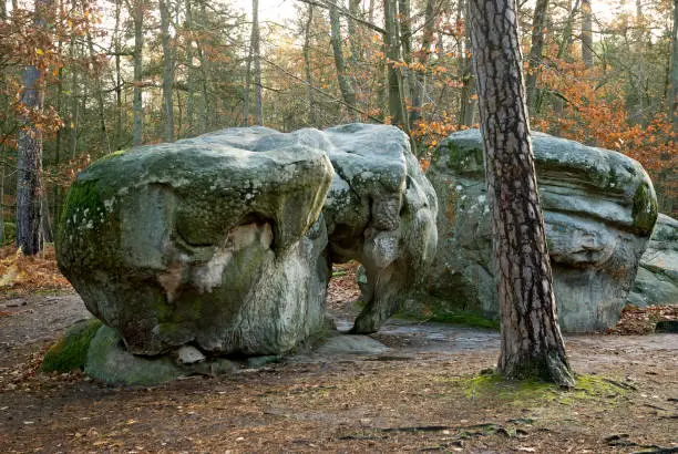 Elephant rock in Forest of Fontainebleau