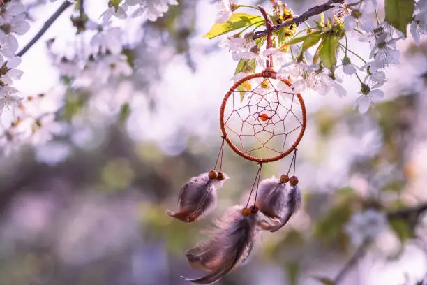 Dreamcather hanging at blooming tree in wind. Spring blossom and ritual dream catcher amulet. Spirituality concept