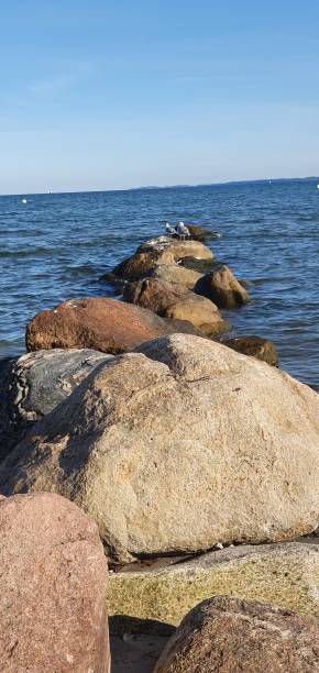 Stones in water Sea ls island stock pictures, royalty-free photos & images
