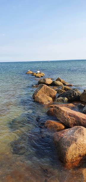 Stones Seaside ls island stock pictures, royalty-free photos & images