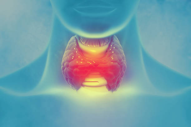 schilddrüse auf wissenschaftlichem hintergrund. 3d-illustration - thyroid gland stock-fotos und bilder