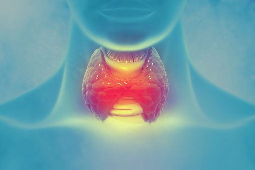 Thyroid gland on scientific background. 3d illustration