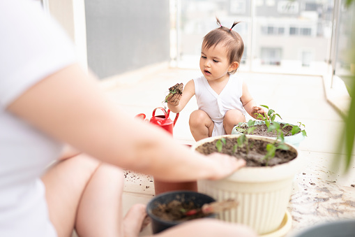 Little daughter is looking at little plant. She is learning how she can plant flowers. Mother is teaching her to planting.
