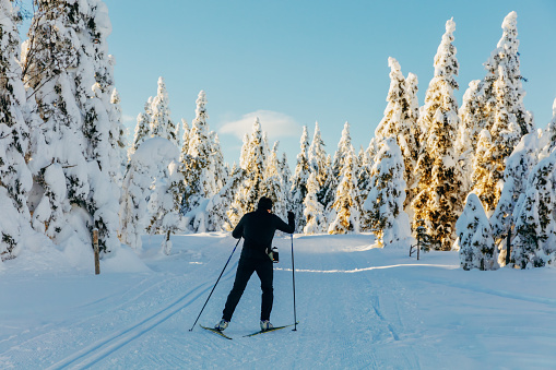 Rear view of man skiing in forest