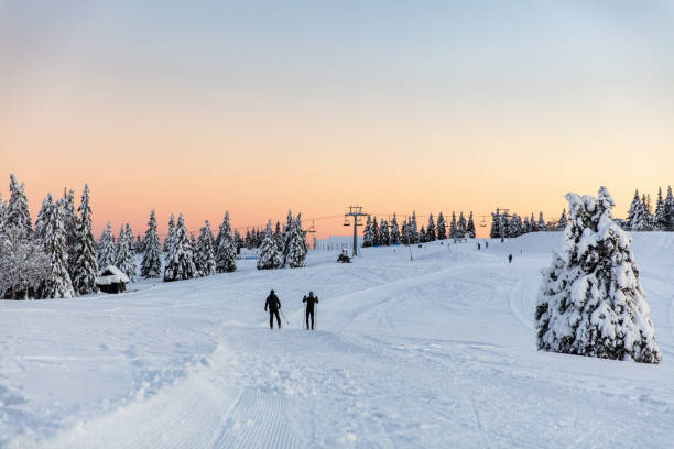 istock Rear view of men skiing on mountain slope 1316441666