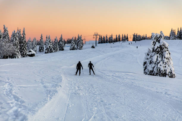 istock Rear view of men skiing on mountain slope 1316441783