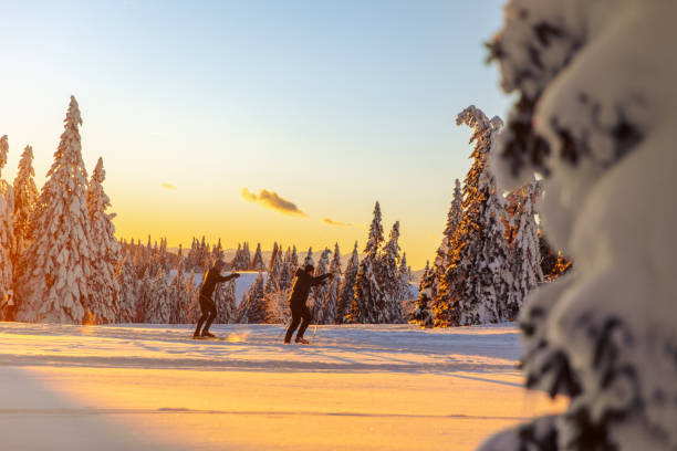 istock Two people skiing in snow during sunset 1316441913