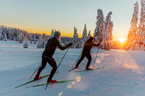Rear view of men skiing on mountain slope during sunset