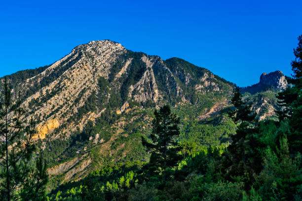 istock Landscape with mountains and evergreen forest on a sunny summer day 1316442802