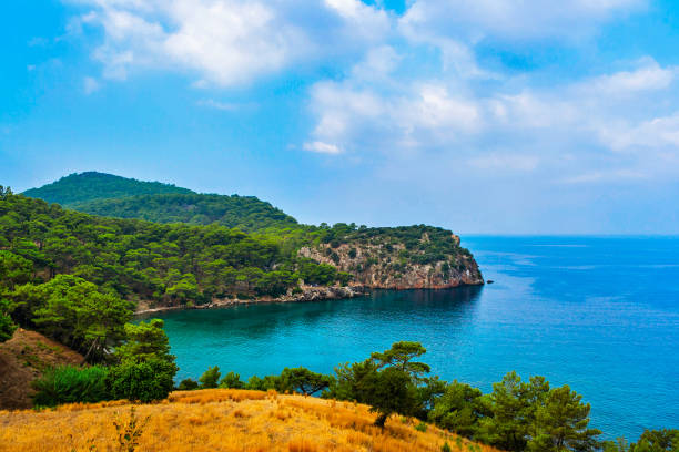 istock Landscape with a blue bay among rocky mountains on a summer day 1316442813