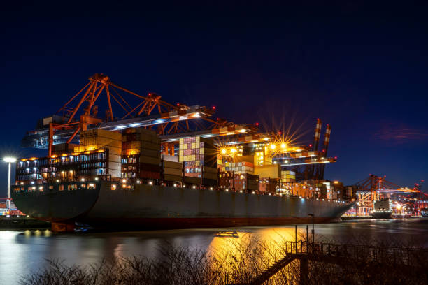 istock Hamburg harbor by night-1 1316444995