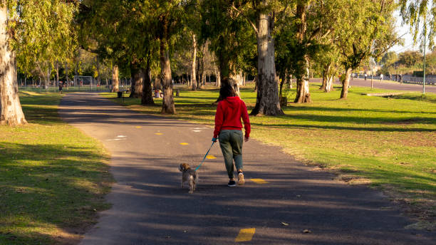 istock Young woman walking with her dog 1316445746