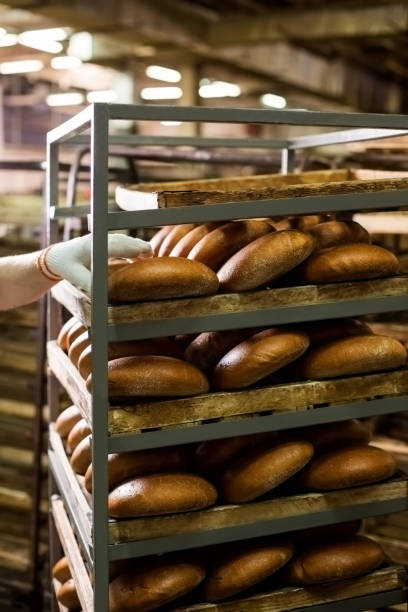 istock Workers hand in glove puts bread on shelf at bakery. 1316447911