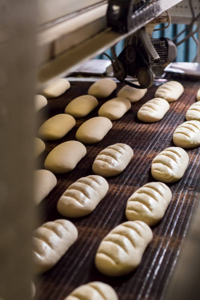 istock Bread dough running on conveyor belt at industrial factory. 1316447919